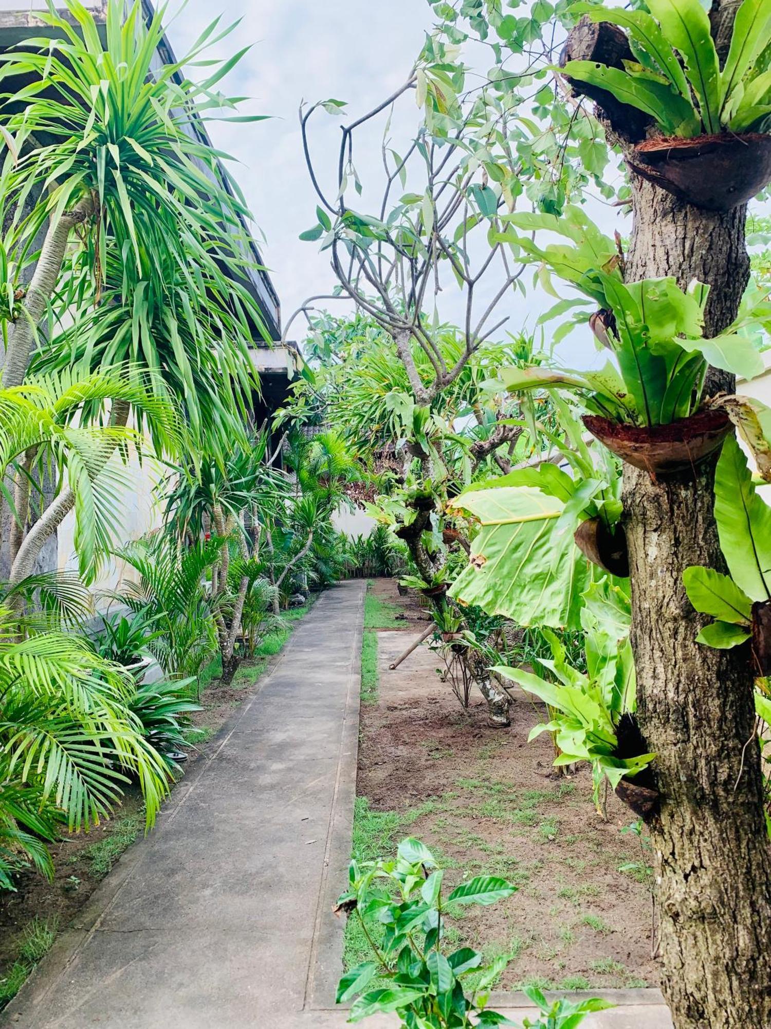 Pondok Baruna Garden Nusa Lembongan Kültér fotó